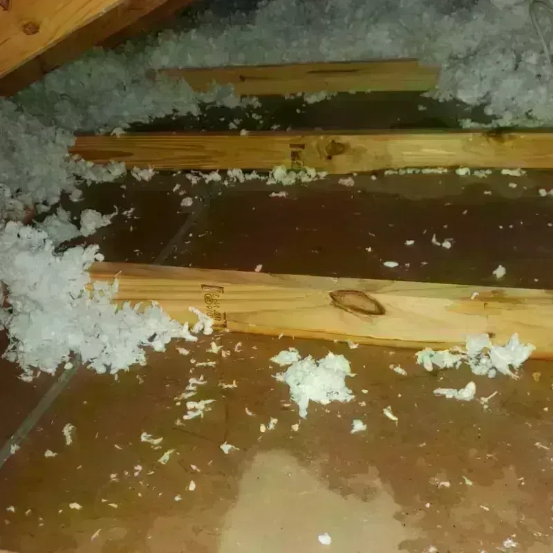 Attic Water Damage in Cleveland, TX