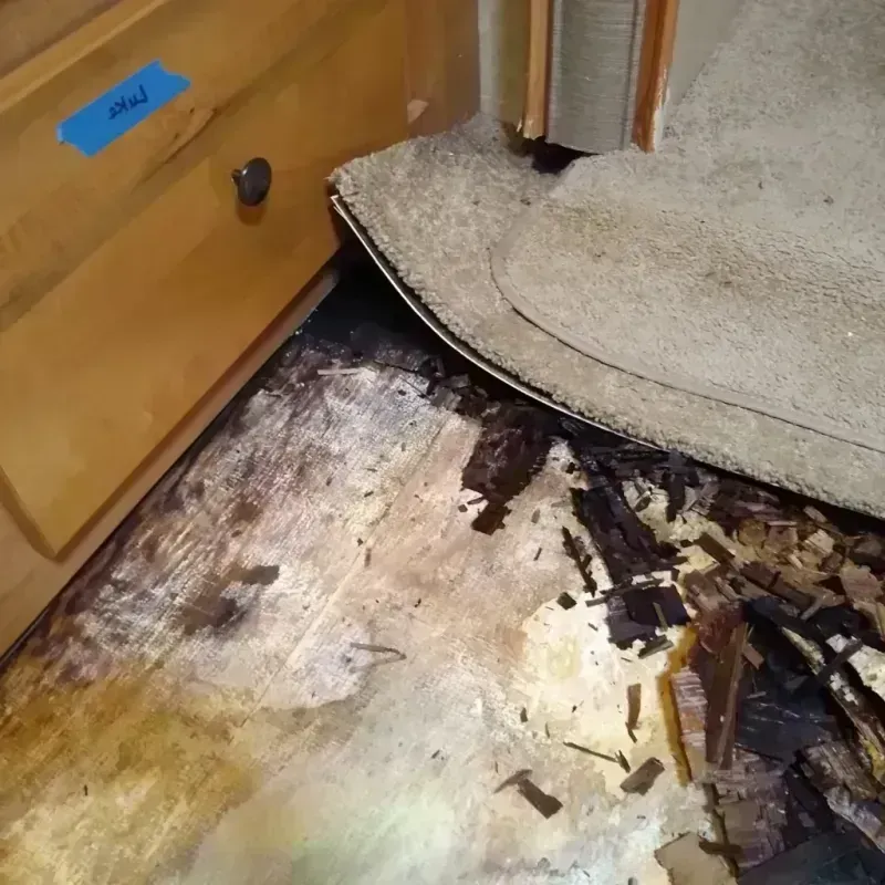 Wood Floor Water Damage in Cleveland, TX